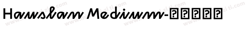 Hauslan Medium字体转换